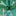 00cb0a14431bfe0174bb2f6efebcfe12ea239f0dab303c748d2d6ac8166ce40e.png