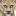 588a9f97827cde871d3ee049292a46fcb369f95f8c0b2bd5d25e716788f1b8f7.png