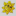 67cccded9032524b7ae38e186d20d0a48a39fcb9d8033e7cb553953a387afcf2.png
