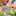 bb9ea3ae380e02fe5de6f1d7319b4ad626f0dcce3082564b7c0c0af34ccbfb28.png