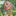 c98454e82c48ede9eb2e7aa0611bd7a6f0ac3b0325e542d5d9e2eb354aa12a52.png