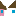 fcfef1b40d0cd18653be3e276a7fb9f0d3f014eea649244052acdc6bfca19cde.png